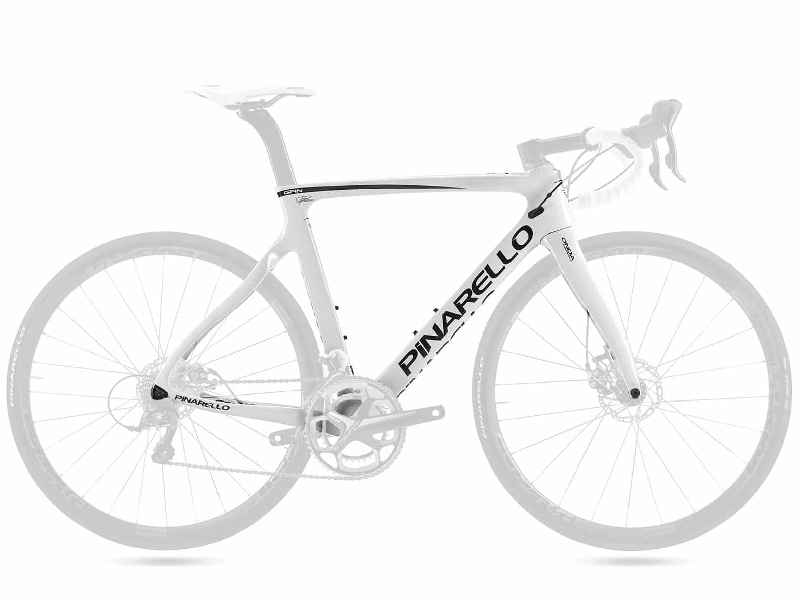 pinarello gan disk