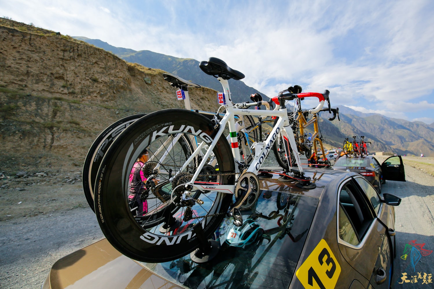 treefrog bike rack